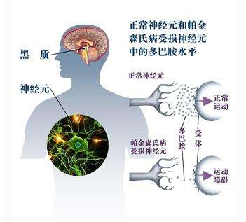 微信图片_20201125091951副本.jpg