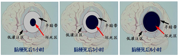 微信图片_20200716112923副本.jpg