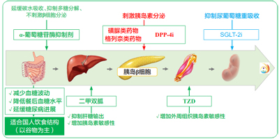 图片5副本.jpg